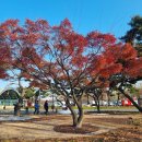 대공원역 3번 출구 이미지