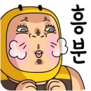 테디익스프레스