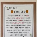 염소보신마을 이미지