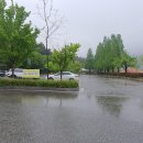 전북천리길 종주(9회차) 익산시 미륵사 둘레길 이미지