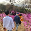 안골오리마을