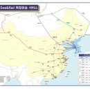 (주)서광약품 이미지