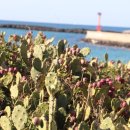 저지1521 이미지