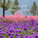 엔젤 자동차정비 | 의령 기강 리치꽃축제 2025 호국의병의숲 가을꽃 명소 총정리