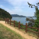 공설카서비스 이미지