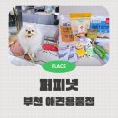 디어퍼피 | 부천 애견용품점 퍼피넛