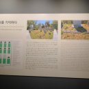 구바울기념의학박물관 이미지