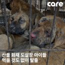 주식회사 이노바이오 이미지