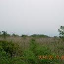 팔조령목장 이미지