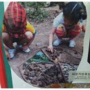 보고유치원 이미지