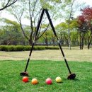 하와이스크린골프 이미지