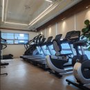 어니언짐 이미지