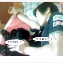 까미랑 몽이 Daum카페