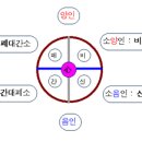 사상의학 - 사상의학의 광명의학적 접근 이미지