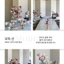 데코레이션영 | 돌잔치 베뉴, 스냅, 메이크업, 돌상 예약 후기(롯데호텔 도림, 위아영 포토그래피, 차차 메이크업, 모득)
