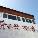 코끼리떡집 - 북구 호계로 332-2 | 코끼리떡집