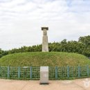 고도리기획