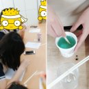 앨리스천연비누한국천연연구협회