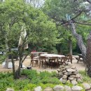 일산동구치매안심센터 시정일보