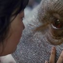 옥자축사 이미지