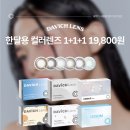 다비치안경콘택트 이미지