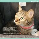미라클쉼터