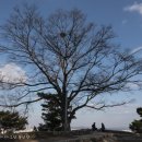 독산성 동문 이미지