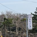 금능이모네 이미지