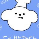 더 바라다(The Barada) 이미지