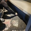 악쓰는 하마 이미지