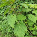 경화농장 이미지