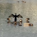 주흥길 64-17 | 2월 결산 (1)