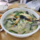 제부도해상케이블카 주식회사 | 반려동물동반 제부도여행 탄도항 전곡항 요트타면서 바다 즐기기
