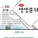 인쌩맥주 양양점