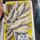 이안수산