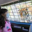 이승준농장 | 용인 에버랜드 스페셜사파리투어 이용후기