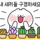 만상여행사 네이버블로그