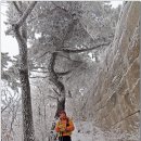 고바우산장 이미지