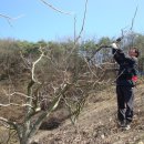 조아농장 이미지