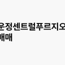 운정여기어때부동산공인중개사사무소 | 운정센트럴푸르지오, GTX-A 개통 전 갭투자 타이밍 맞을까?