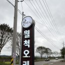 월척오리 이미지