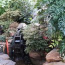 당리동-6 이미지