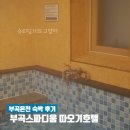 부곡스파디움·따오기호텔 | 부곡온천 숙박 부곡스파디움 따오기호텔 내돈내산 후기