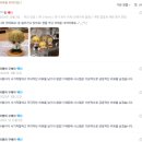 하이원PC | 타오바오 이용 방법(짧은 나의 지식 대방출)/간단한팁