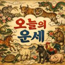 [2월 재능나눔] 나만의 인형 만들기 원데이클래스 <내 손으로 꾸미는 모루인형 2/6> | [미리보는 내일의운세] 2026년 2월 7일 토요일 12띠별 운세 | 오늘의 운세 완벽 정리
