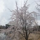 별밤미술관 in 신창 | 공원 속 작은 전람회 "별밤미술관 in 신창"에서 전시회가 열리고 있습니다. / 박지우 초대전 "들이...