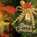 피아골 오토캠핑장 이미지