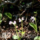 한라전설(주) 이미지