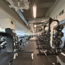 올 마이트 짐 이미지