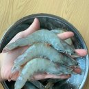 씽씽수산 - 목포시 산정로47번길 15-7 | 씽씽수산